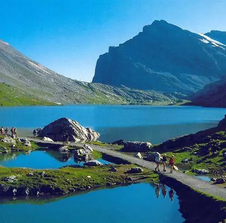 Lucky Fox لوكباد