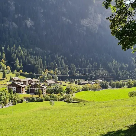 Lucky Fox لوكباد