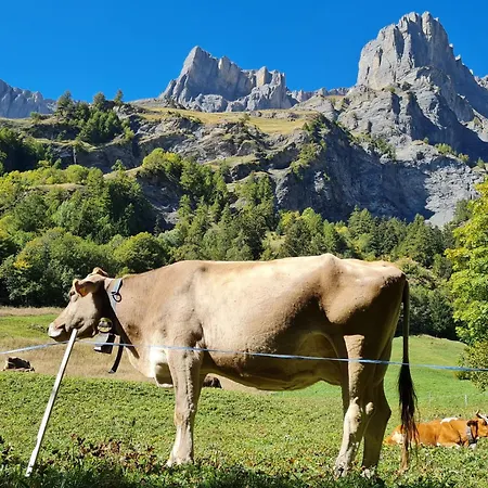 Appartement Lucky Fox