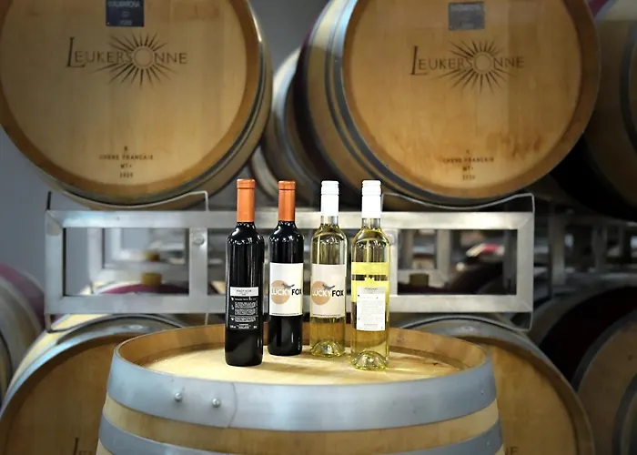 Lucky Fox * Leukerbad