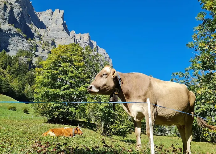 Lucky Fox Appartamento *