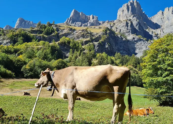 Appartement Lucky Fox
