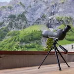 Lucky Fox Apartman *