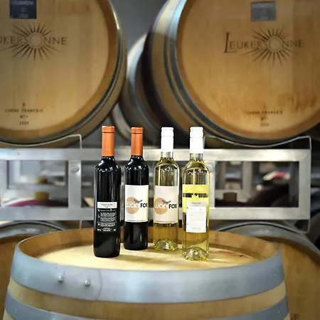 Lucky Fox * Leukerbad